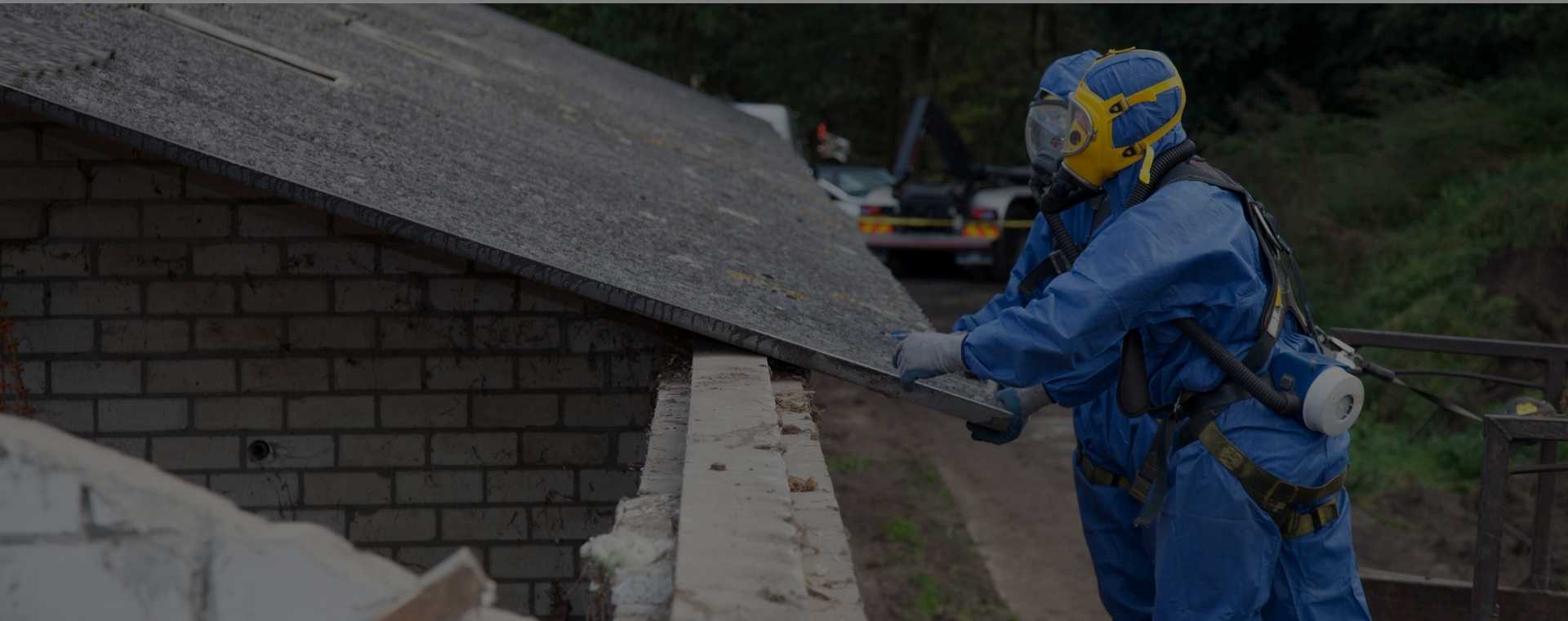 Affordable Toxic Mold Remediation Near Me