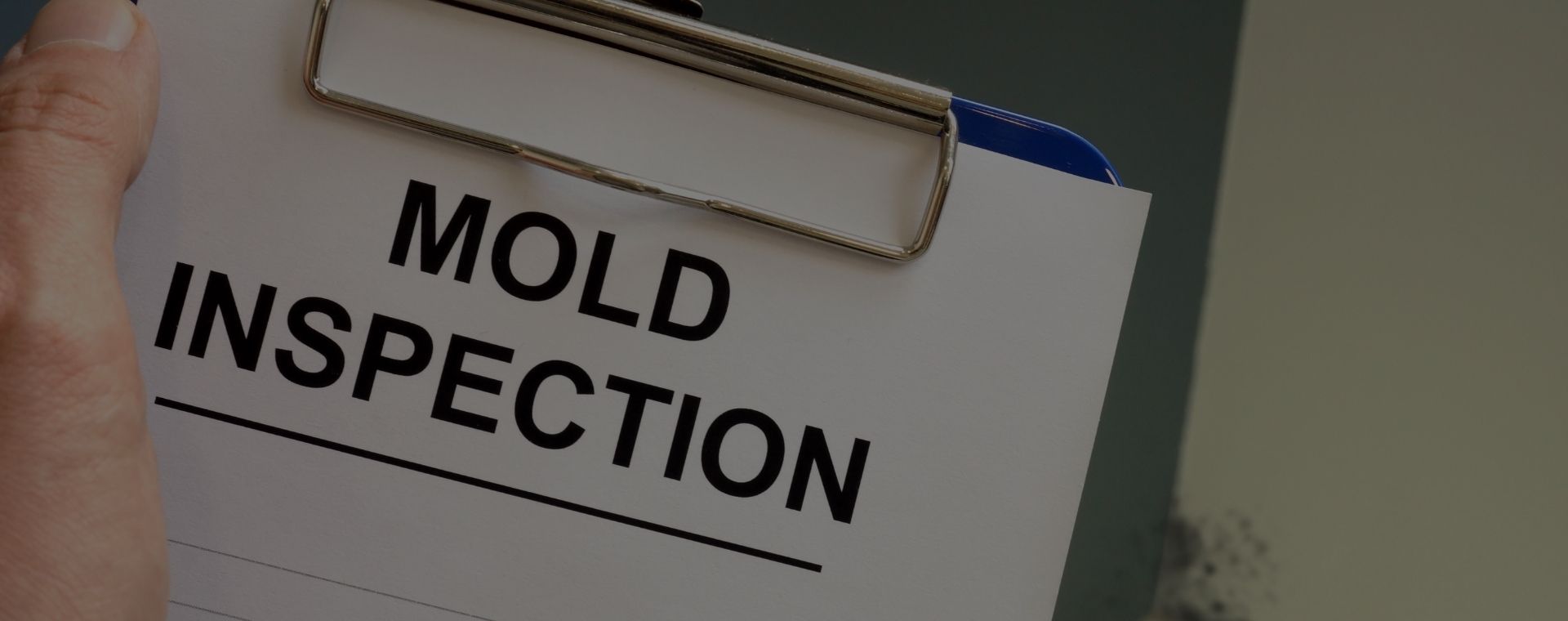 Mold Remediation/Removal Near Me