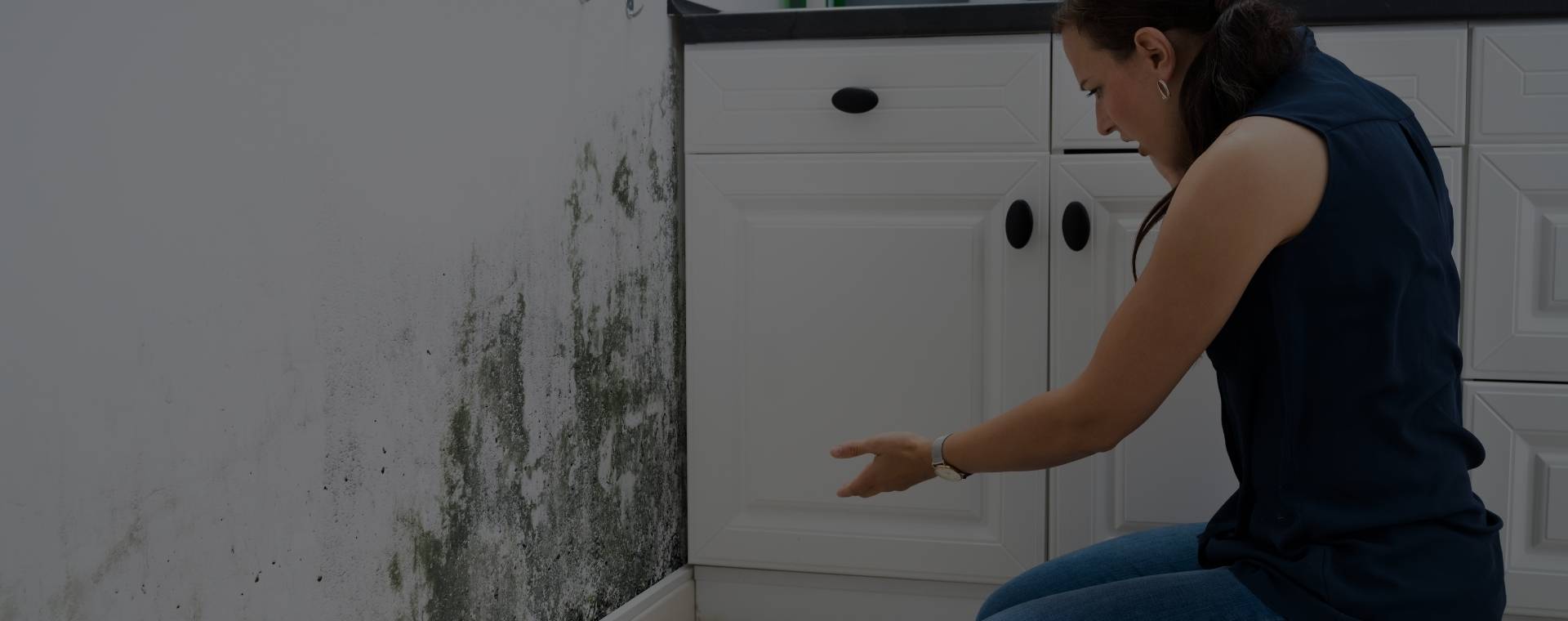 Affordable Residential Mold Remediation Near Me