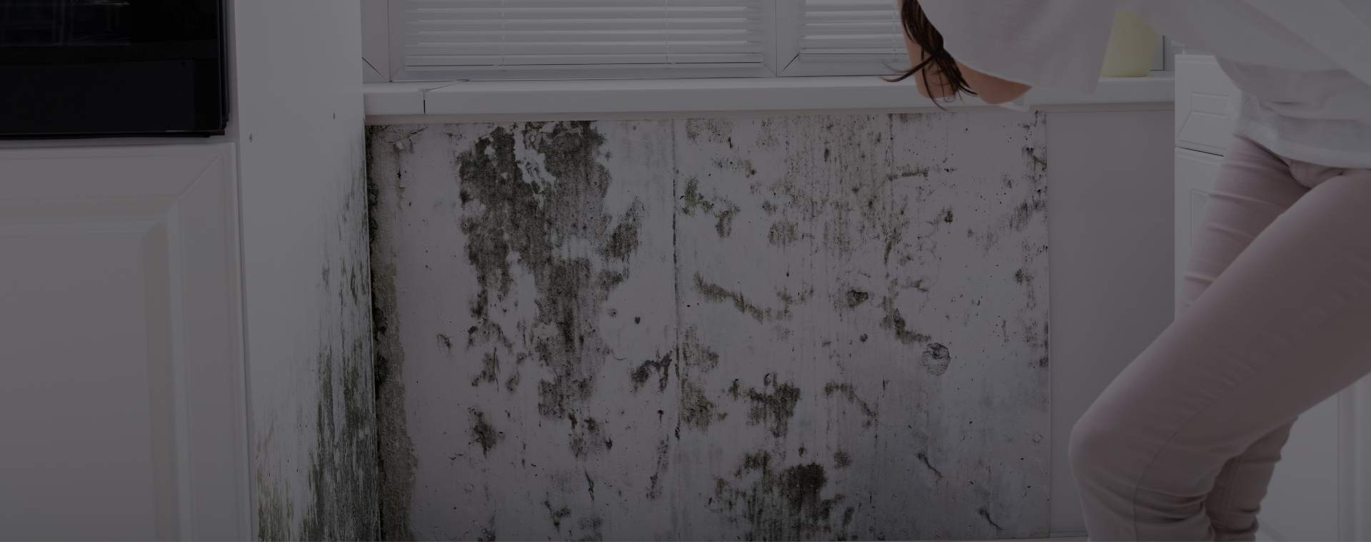 Affordable HVAC Mold Remediation Near Me