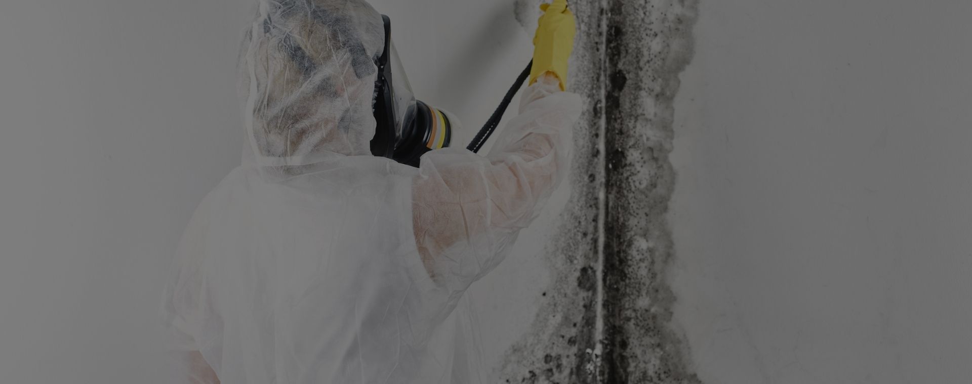 Affordable Furniture Mold Removal Near Me