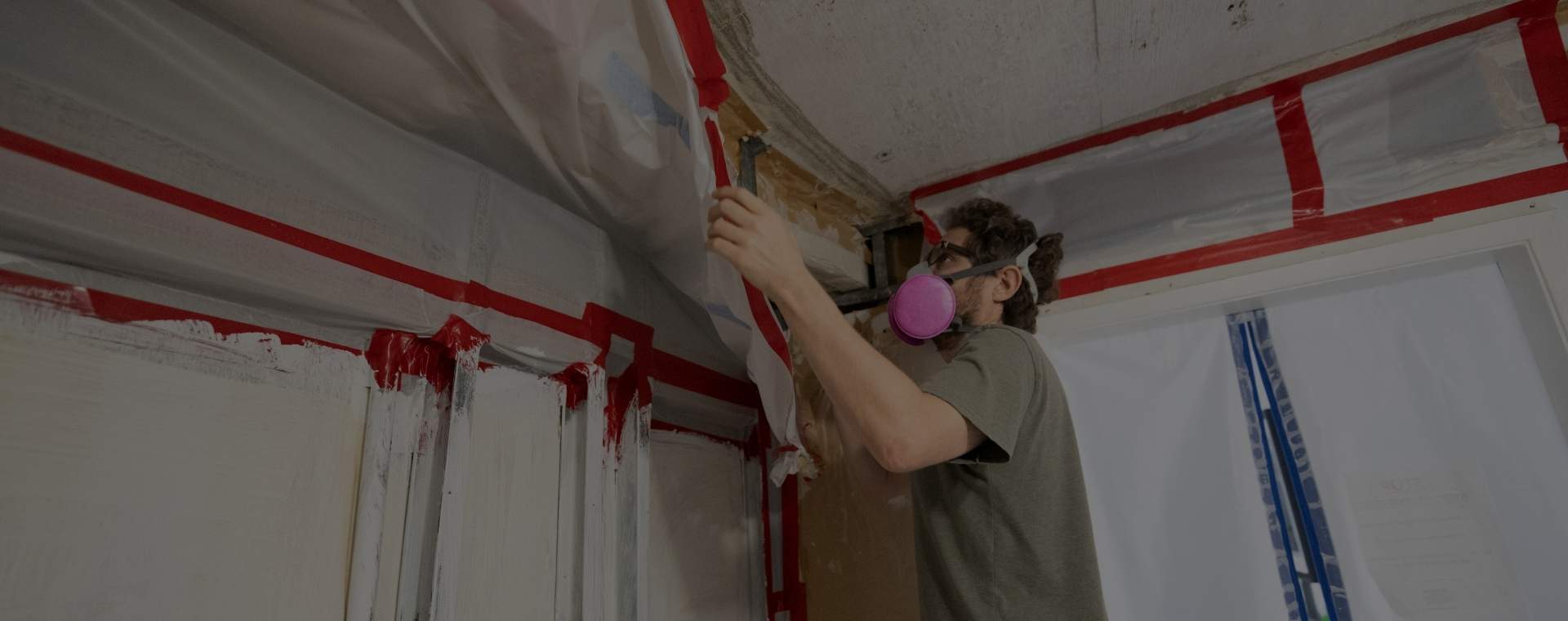 Mold Remediation/Removal Near Me